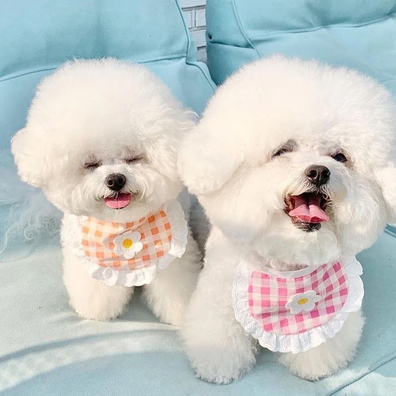 

New Cat Dog Collar Pet Decor Supplies Plaid Flower Scarf Bichon Teddy Puppy Clothes Accessories Best For Small Dogs