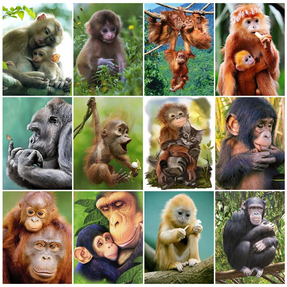 

Алмазная живопись 5D «сделай сам», животное, обезьяна, Набор для вышивки крестиком, Ручная инкрустация, подарки, украшение для стен дома