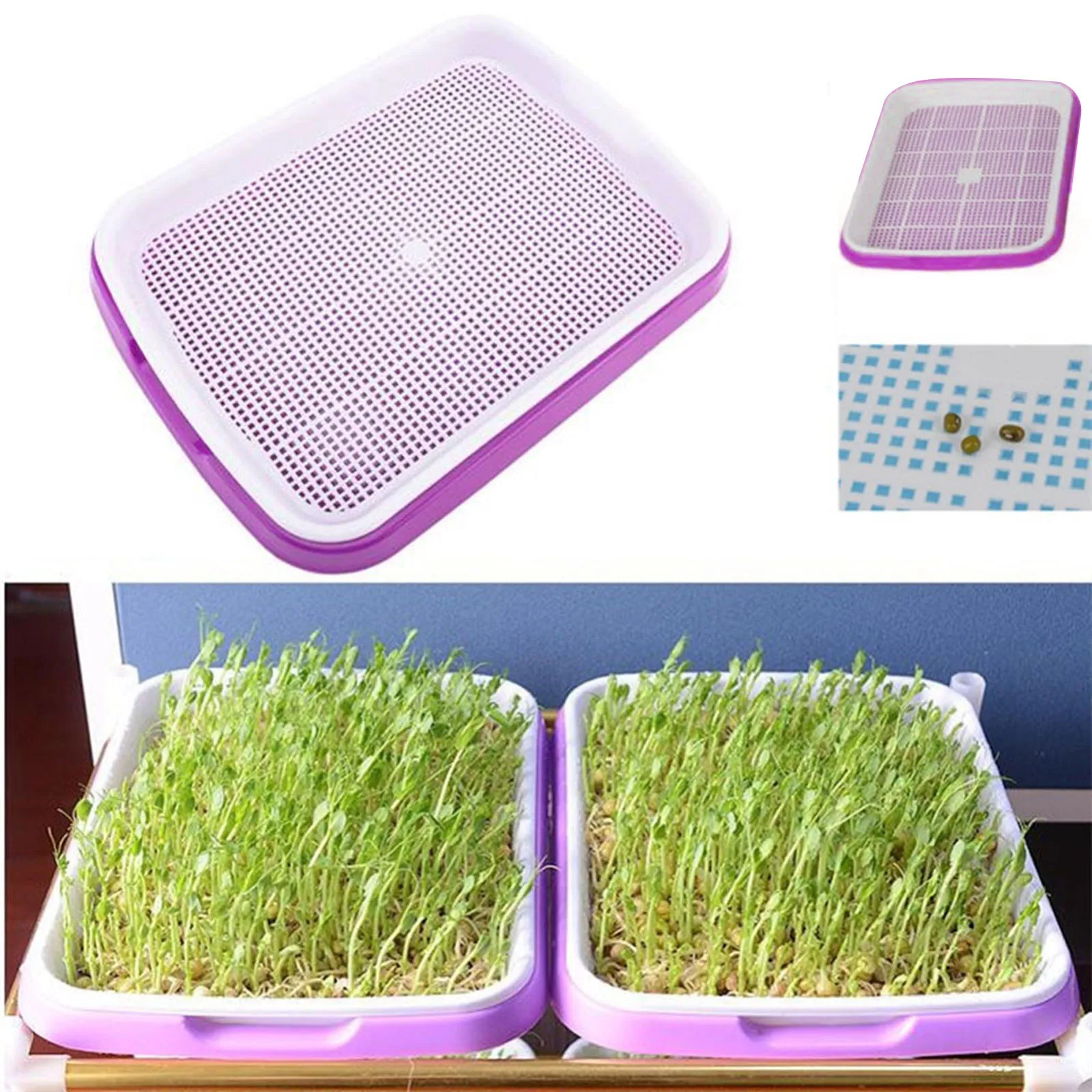 

Sprouting Tray Seed Sprouter Tray Sprout Planting Pot Bean Pea Sprouter Seedling Trays Nursery Growing Germination Kit