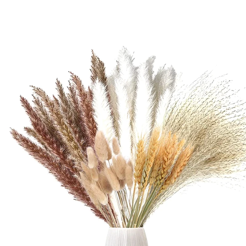 

70 шт. пампасная трава, сушеные пампасы, трава, украшение, Натуральные Сушеные пампасы, трава, сушеные цветы, растения, сушеные цветы
