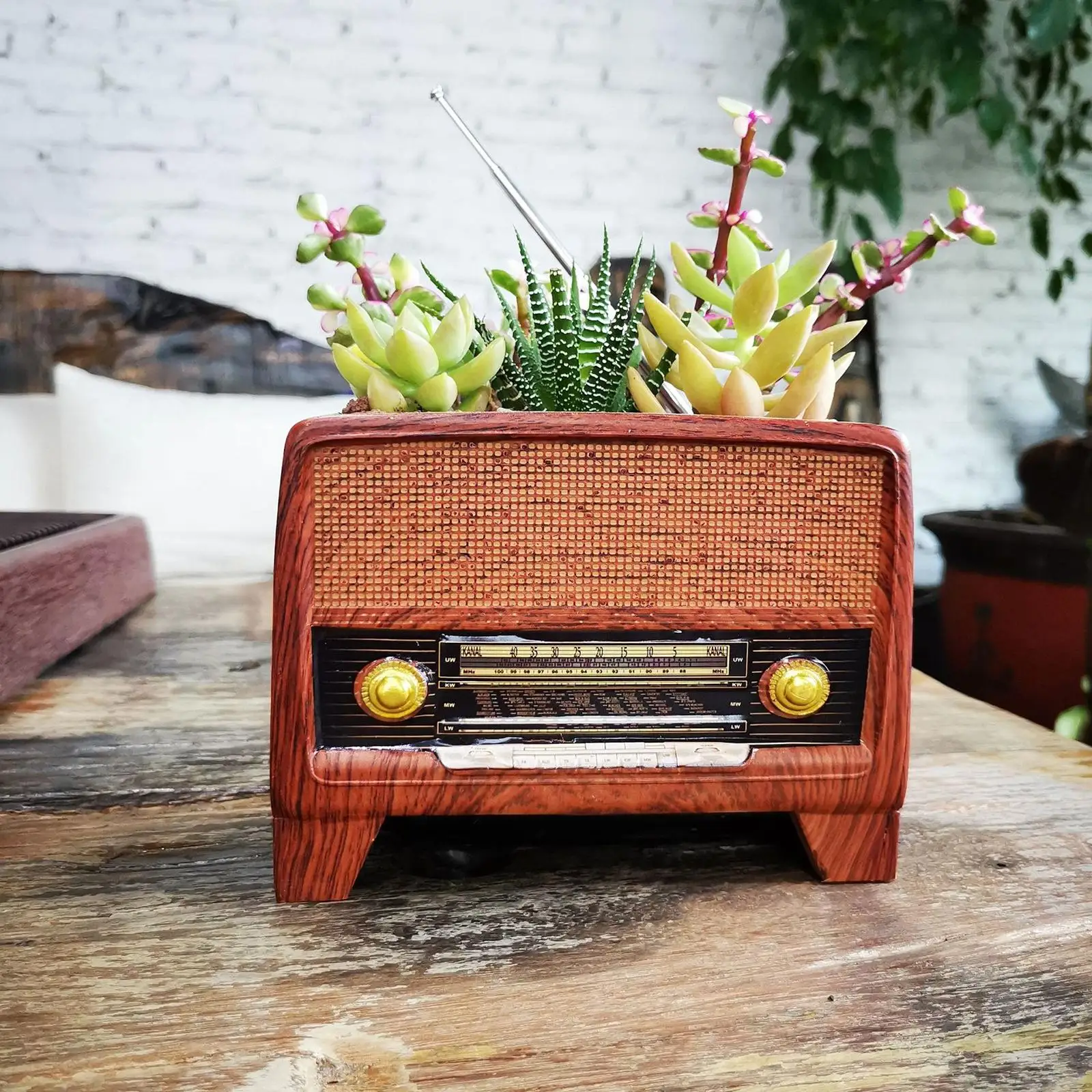 

Succulent Plant Pot Radio Shape Decoration Pot Plant Flower Pots for Cafe Bar Home