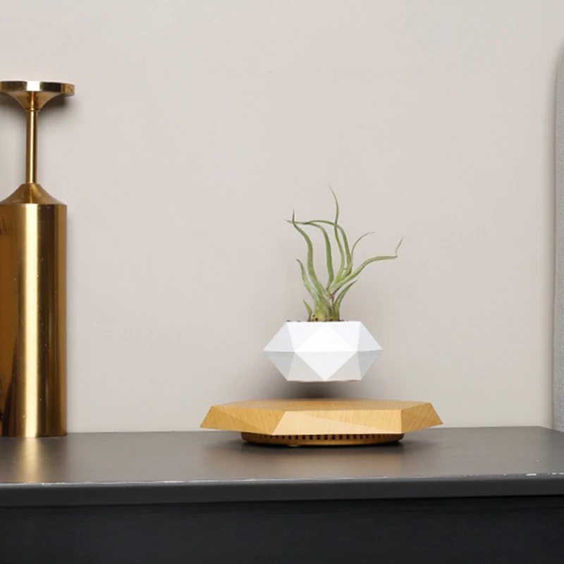 Горшечное растение maglevu цветочный горшок креативный бонсай подарки ручной