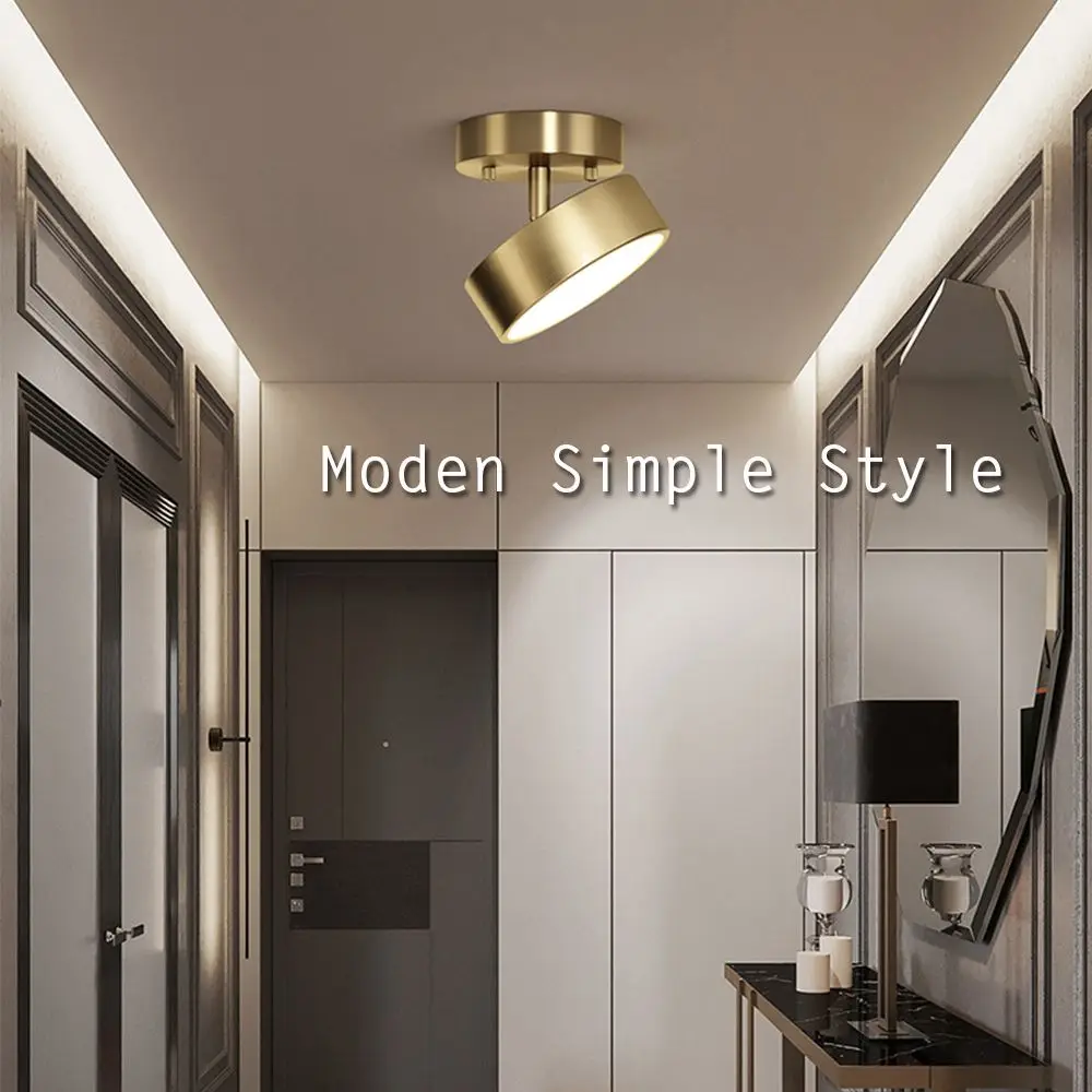 

Closet Lighting Chandelier Garage Gold Bronze LED Moden Simple Style Ceiling Light