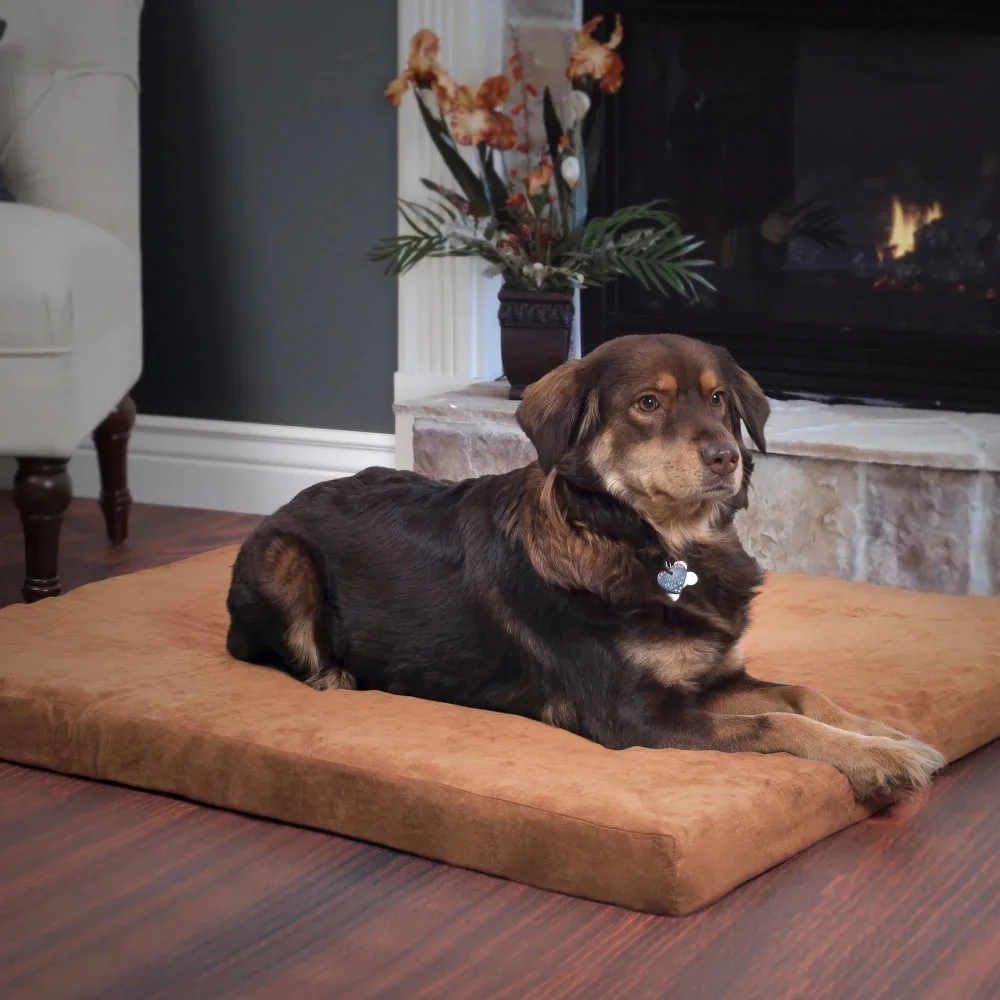 

Dog Bed with Removable Cover - 36x27 Orthopedic Pet Beds with 3-Inch Egg Crat