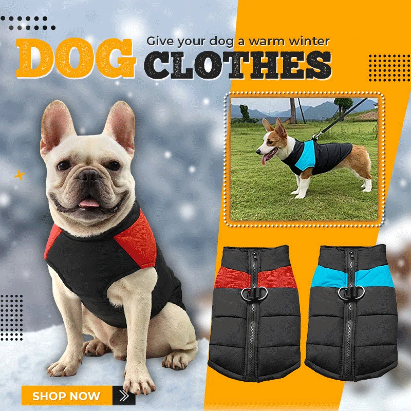 

Мягкая зимняя теплая одежда для собак, водонепроницаемый жилет для домашних животных, куртка на молнии для маленьких, средних и больших иск...