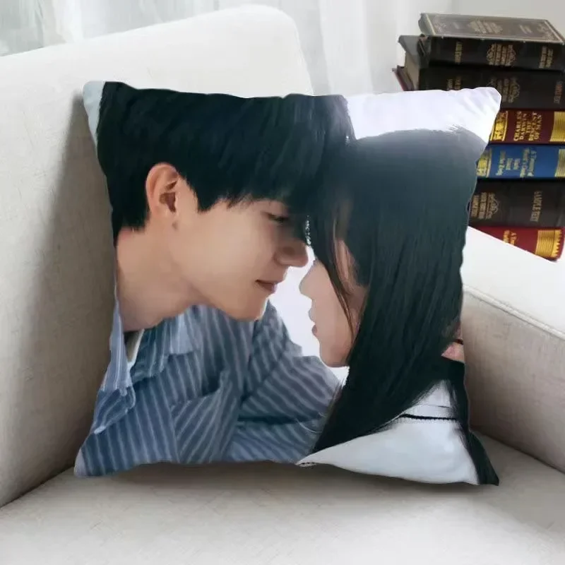 Чжоу Иран Чжан Мяои Биан Тяньян Плакат Искусственный ТВ Двусторонняя Наволочка