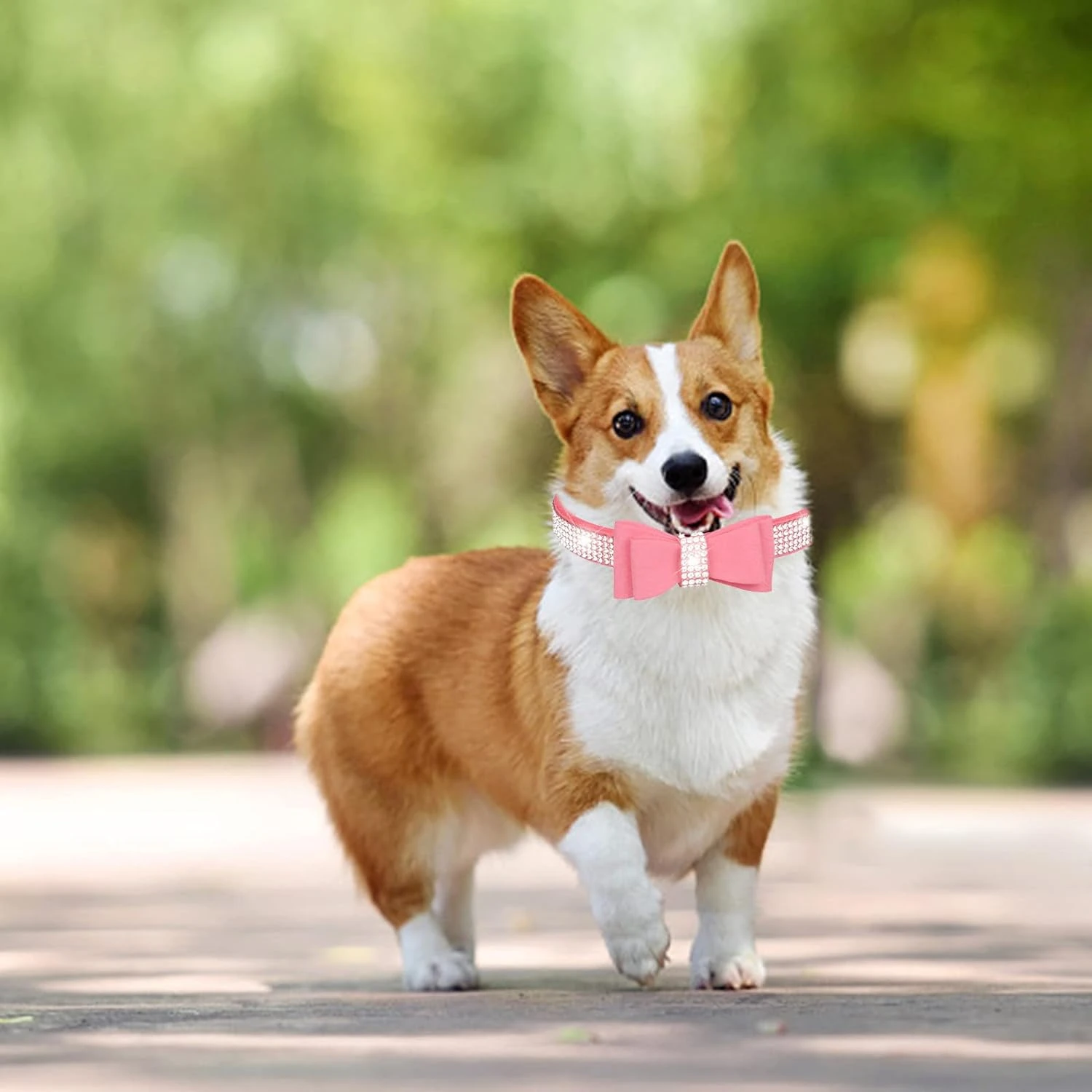 Роскошный Новый набор аксессуаров для домашних животных делай и отлично