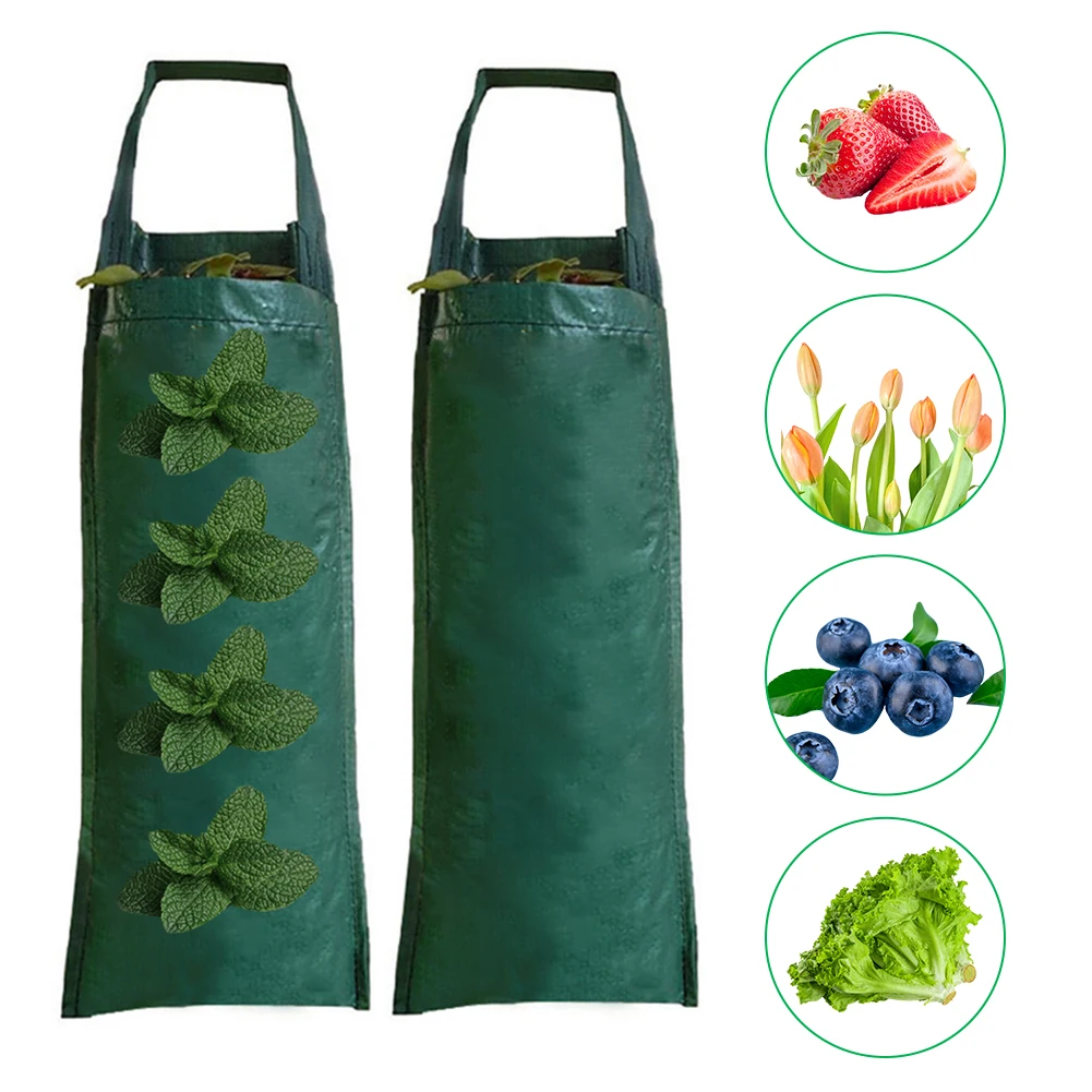 

4/6/8/10 Pockets Grow Bags Wall Hanging Vertical Strawberry Planting Bags For Herbs Vegetables Fruits Indoor Outdoor Plant Pot