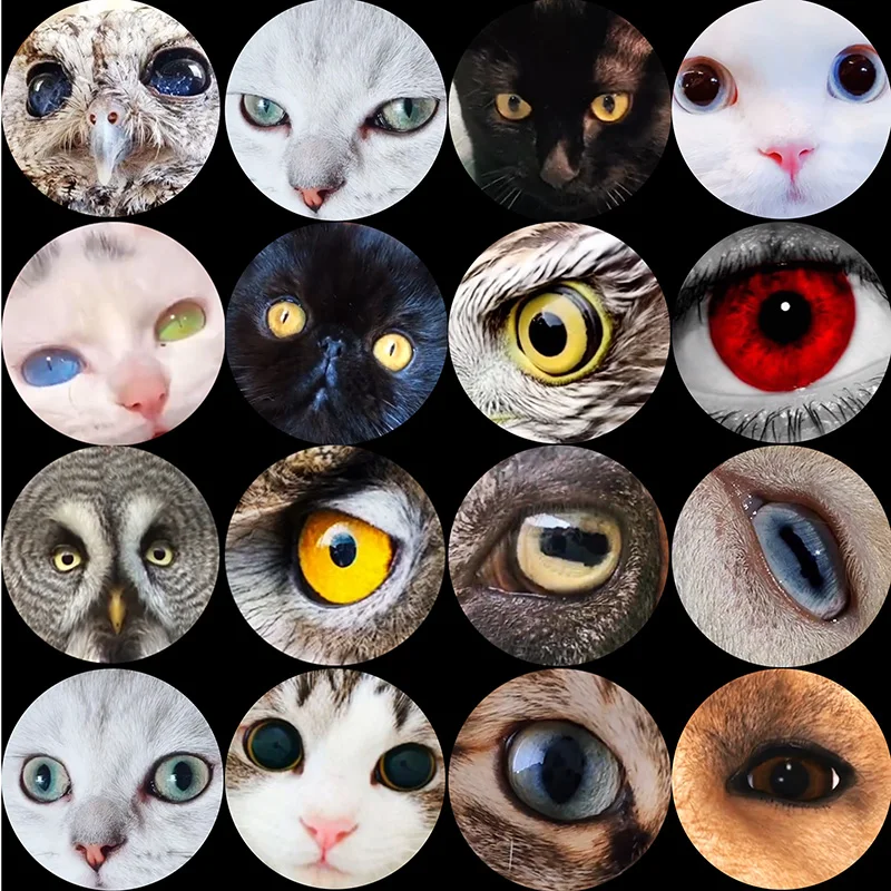 

FLTMRH Dog Cat Horse Owl Tiger Bear Fish Glass Eye Cabochon 6MM-30MM EyeToys DIY Jewelry Accessories MIX Pupil