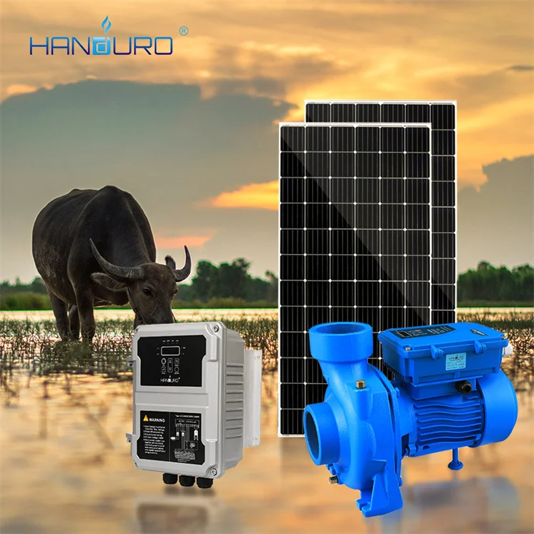 

110V 1500W 27m3/h 21M 2HP Solar Dc Surface Water Pump For Agriculture Irrigation