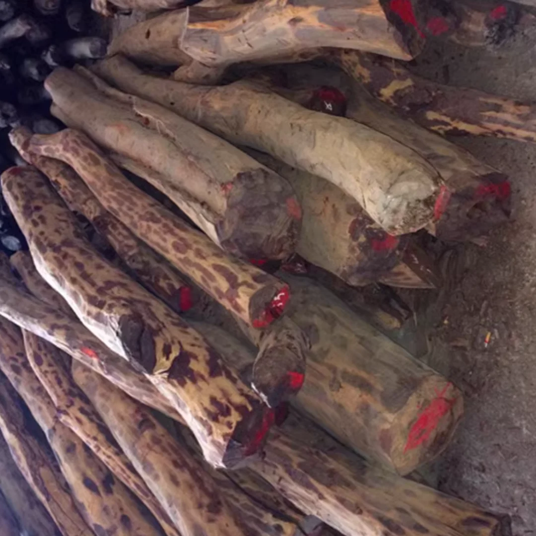 Длина: 300/150 мм натуральная Замбия курица кровь красная древесина резьба по дереву