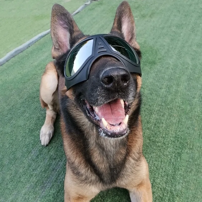 

Dog Glasses - Medium and Large Dog Pet Sunglasses Windproof and Snowproof Pet Glasses for Outdoor Driving and Riding Pet Goggles