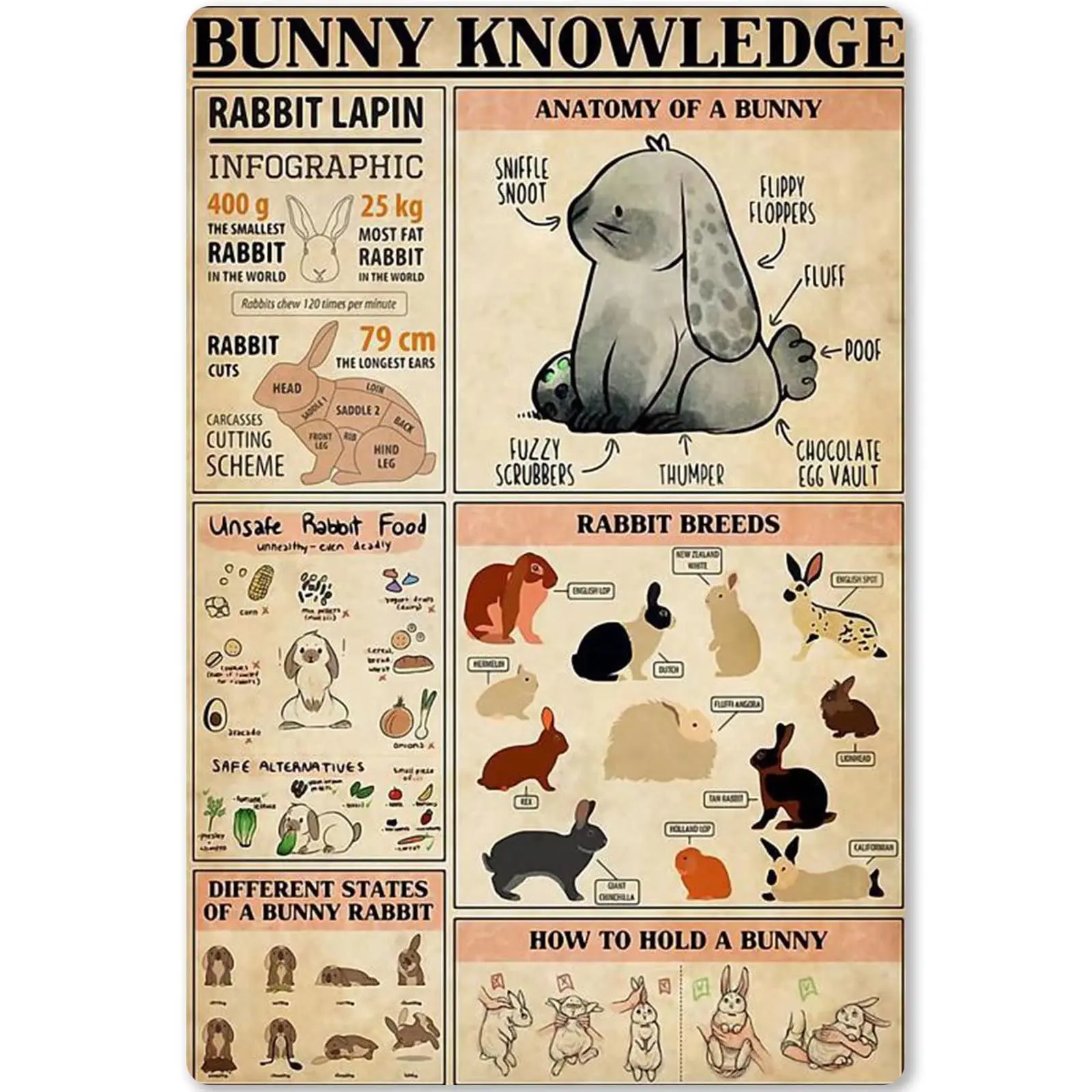 

Bunny Knowledge Metal Tin Sign Anatomy of A Bunny Planing Diagram Poster Plaque for School Education Bar Cafe Club Home Kitchen