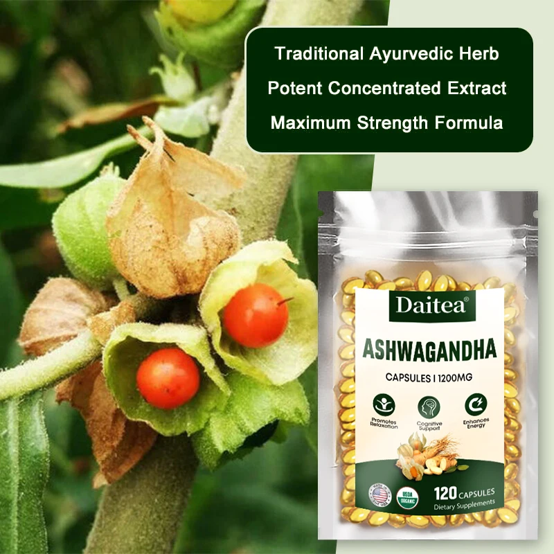 

Daitea Ashwagandha Extract Capsules Antioxidant,Enhance Immunity, Lower Lipid and Blood Sugar, Relieve Stress, Improve Sleep