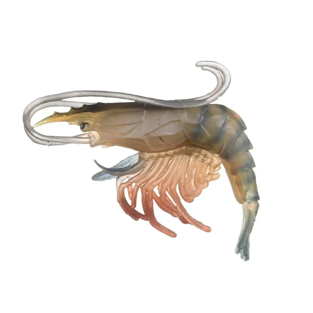 

Simulation Toy Model Figurine Decor High Shrimp Squid Ocean Animal Table Kids