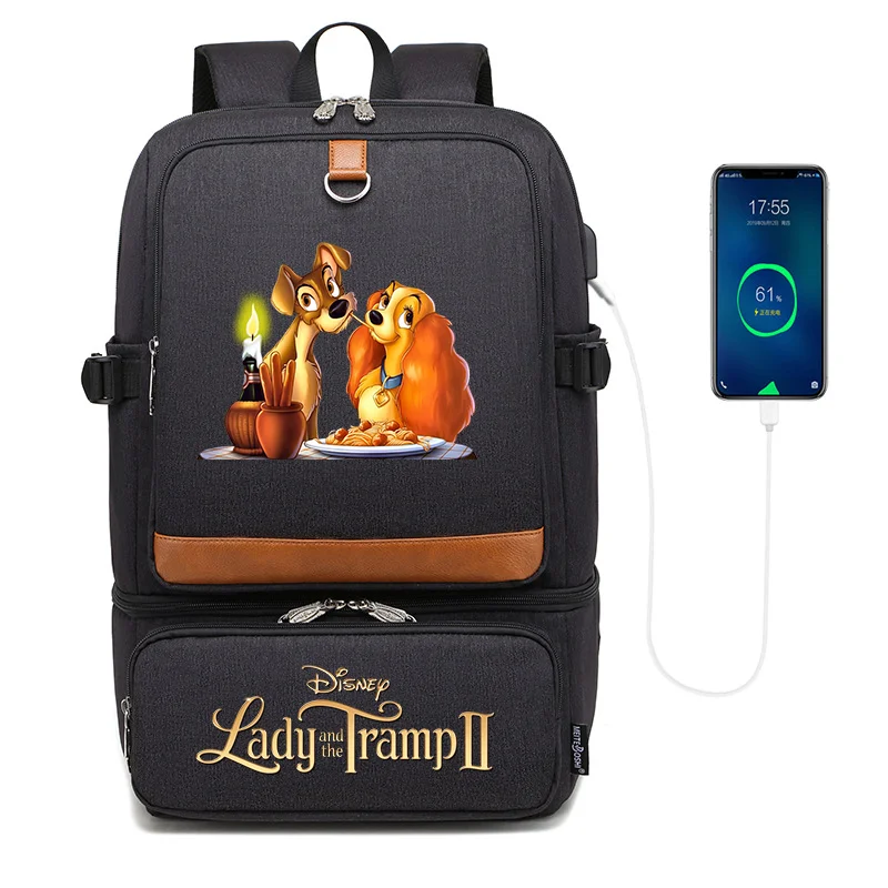 Laptop Backpack Insulated Compartment Usb Port Waterproof Cooler Bag School Picnic Lunch Bag