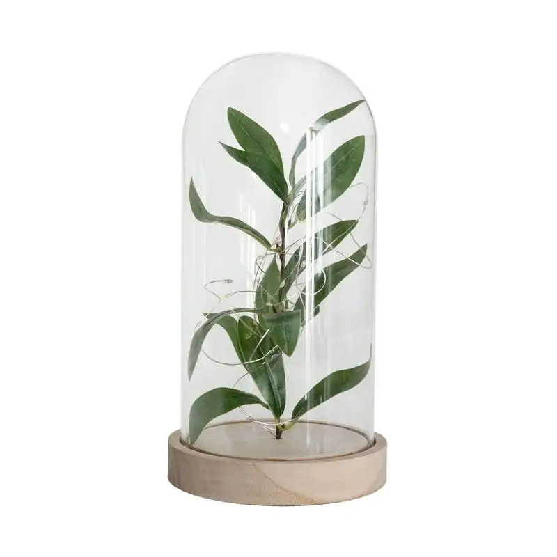 

Indoor Tabletop LED Cloche with Faux Green Plant and Natural Wood Base Plantas Uv led nail lamp Plant accessories E led grow lig