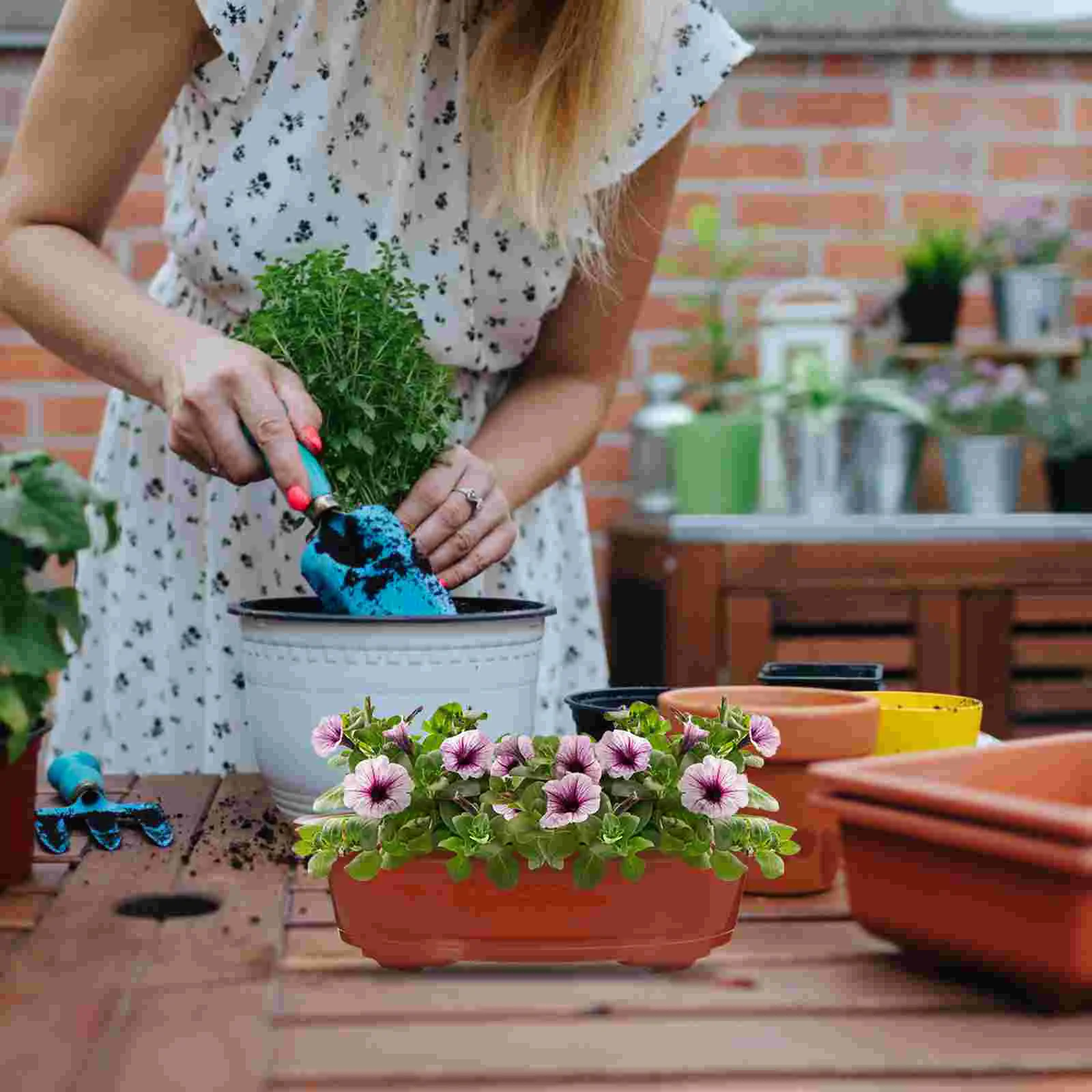 

4 Pcs Flowerpot Garden Plastic Planter Durable Pots Potting Trays Big Office Bonsai Succulents