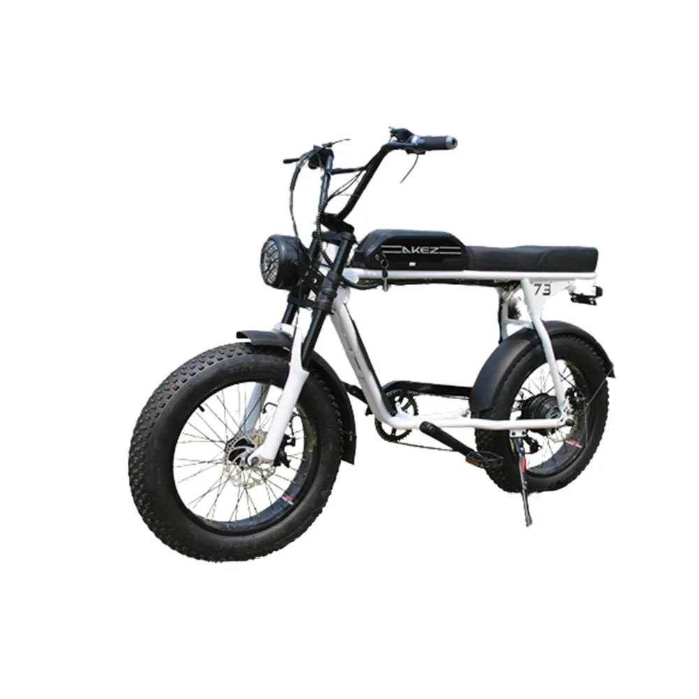 

20 Inches 36/48V Electric Bicycles Lithium Battery Dual Disc Brake Hydraulic Shock Absorption All Terrain Tires Mountain Bike