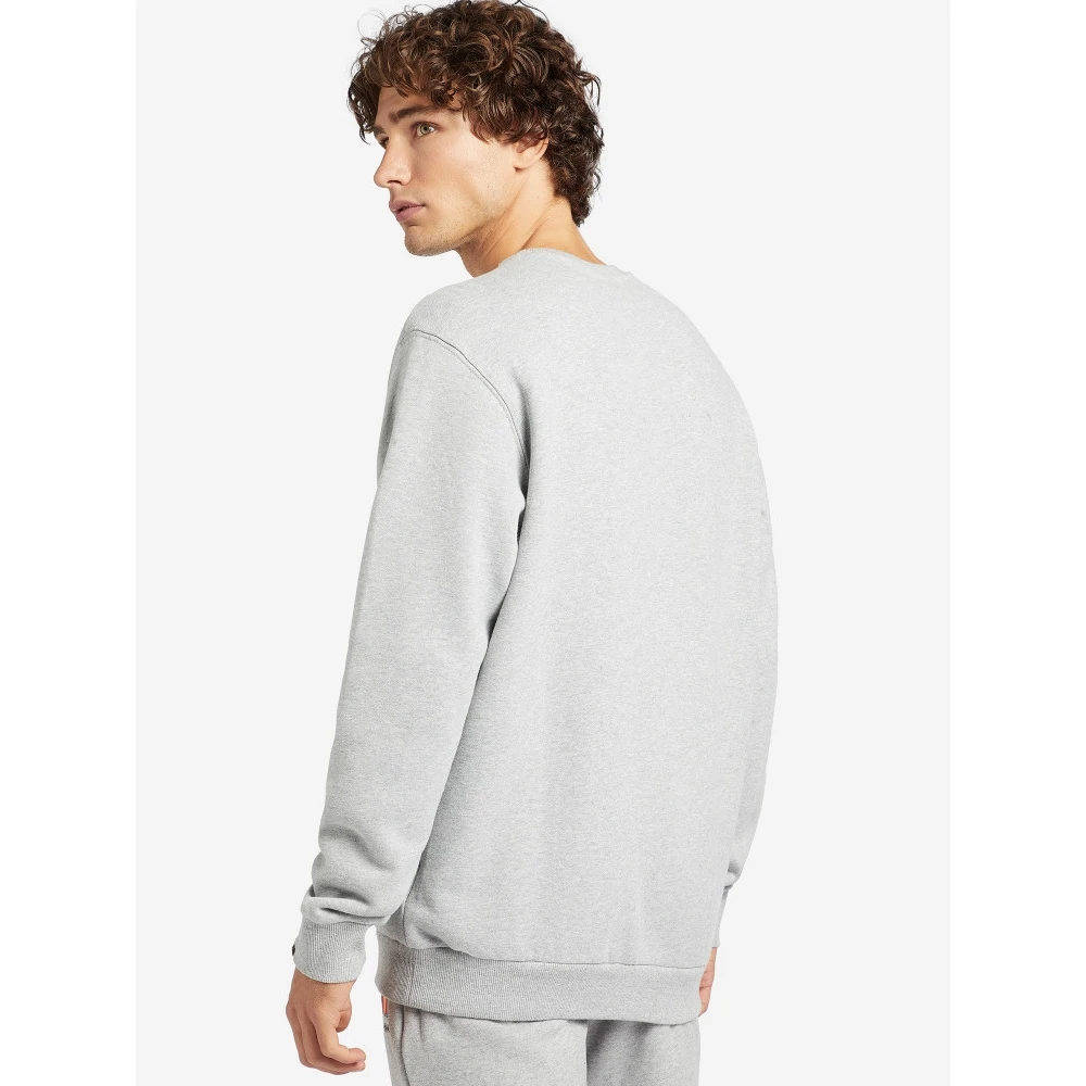 Свитшот мужской Ellesse Succiso серый | Мужская одежда