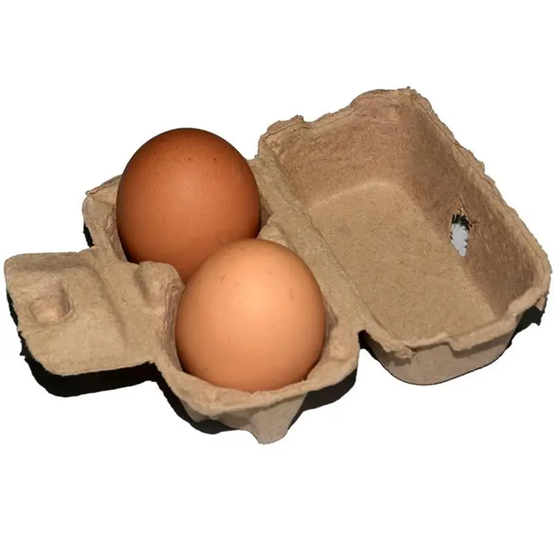

25pcs Egg Cartons 2 Eggs Holder Household Empty Egg Cartons Paper Pulp Egg Cartons Paper Pulp Egges Containers Kitchen