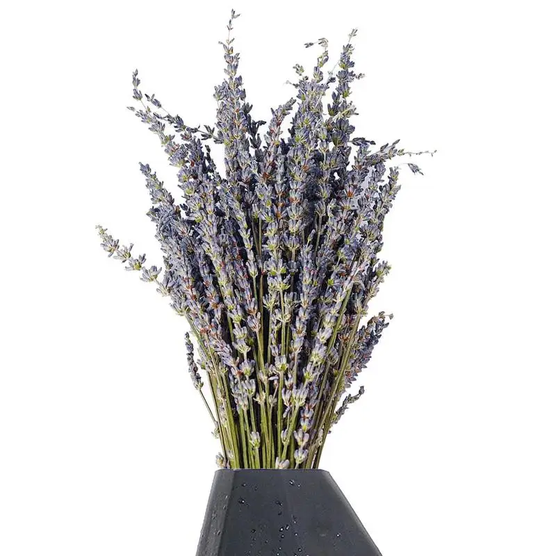 

Natural Dried Flower Bouquets Dried Natural Lavender Flower Bouquet Lavender Flower Bunches DIY Home Office Wedding Decoration