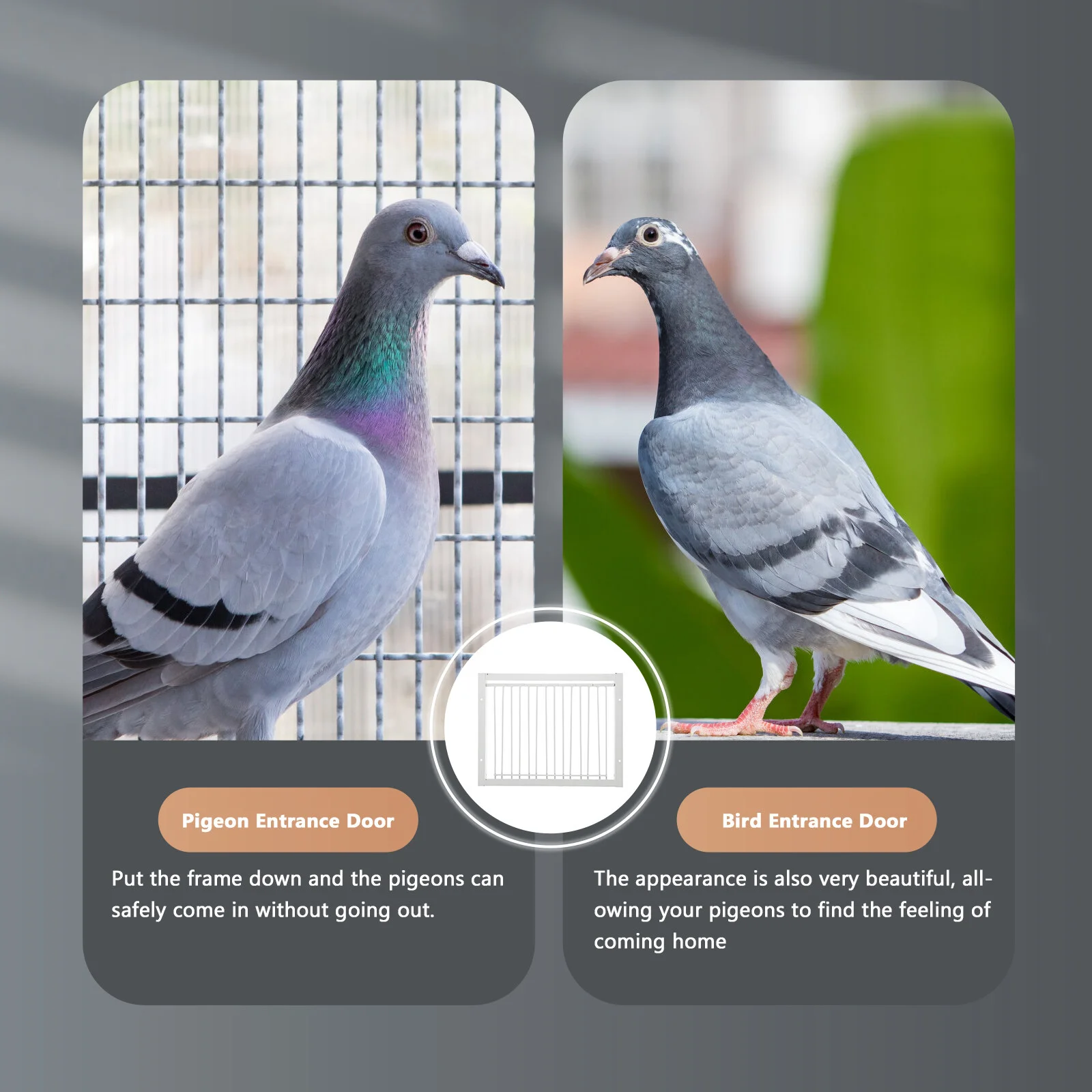 

Pigeon Door Wire Pigeon Entrance Door Bird Entrance Trap Pigeon House Door Bird Loft 30x26cm