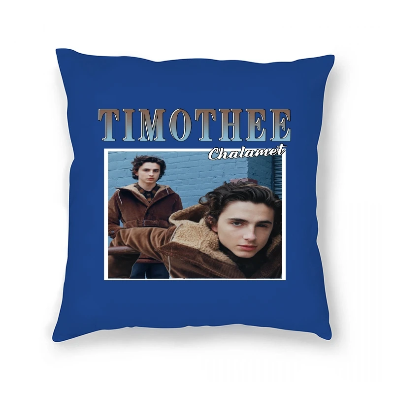

Retro Timothee Chalamet Fashion Vintage 90s TV Pillow Case Oversized