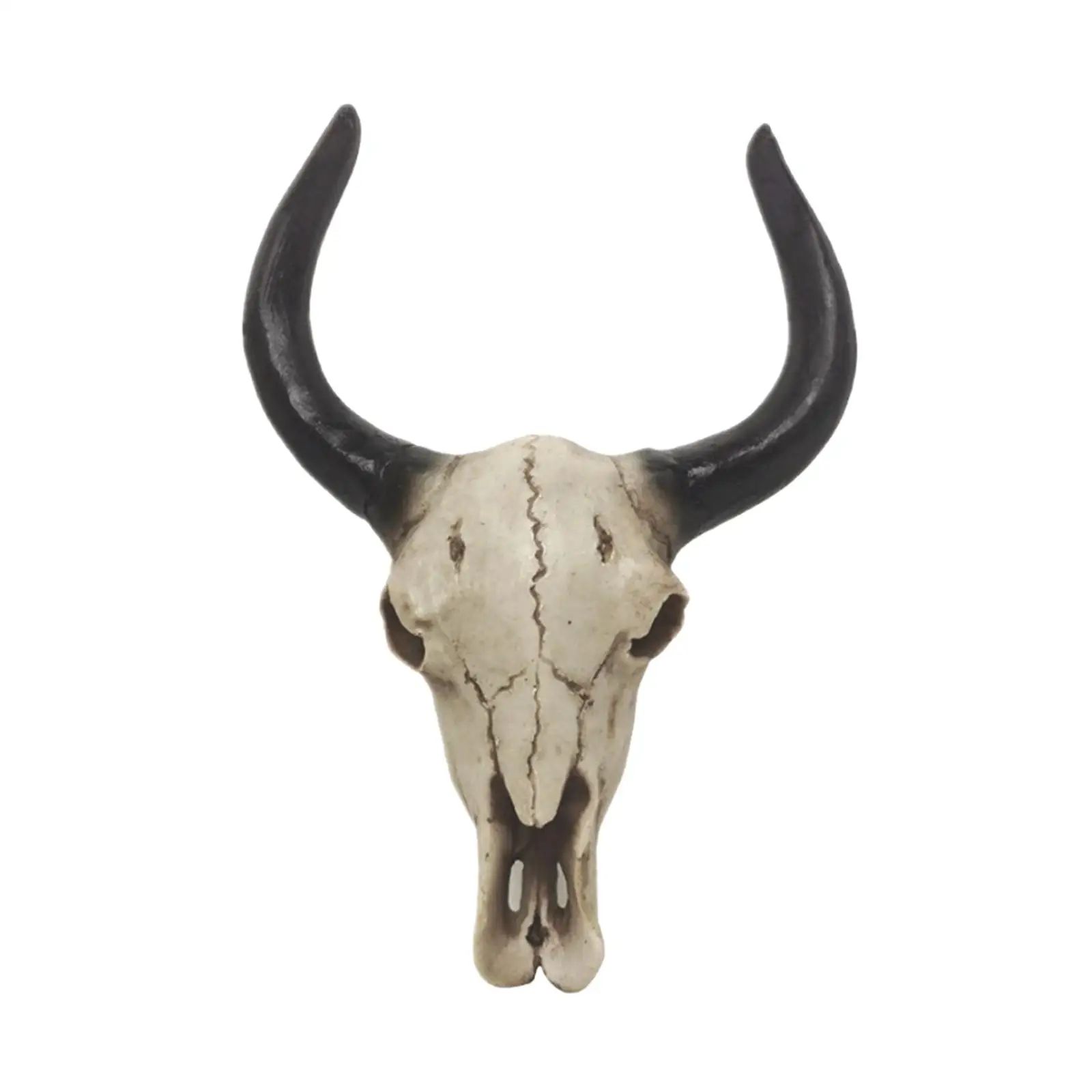 

Bull Head Skull Wall Hanging Art Cow Skull Wall Plaque Rustic Durable Hand Painted Bull Head Wall Sculpture for Festival Present