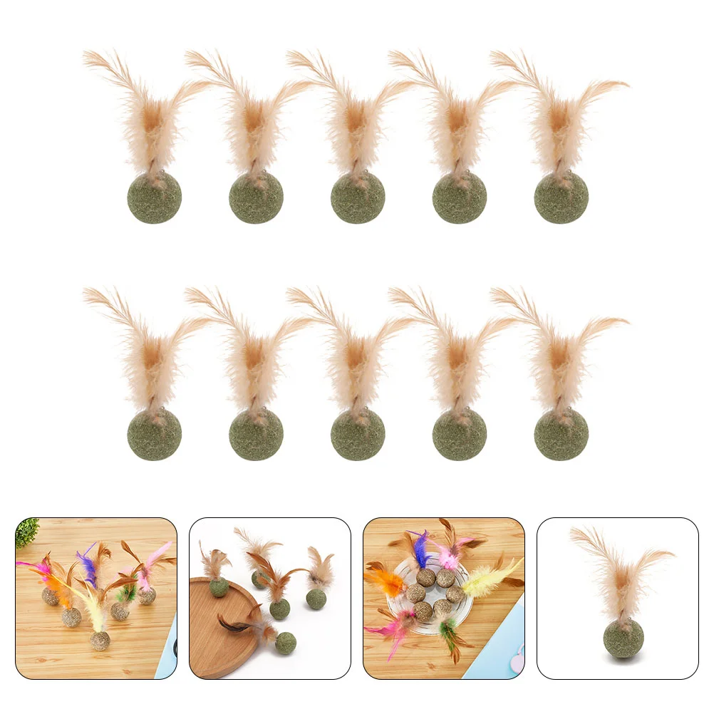 

10Pcs Plumes Catnip Kitten Chew Biting Playthings Household Interactive Catnip