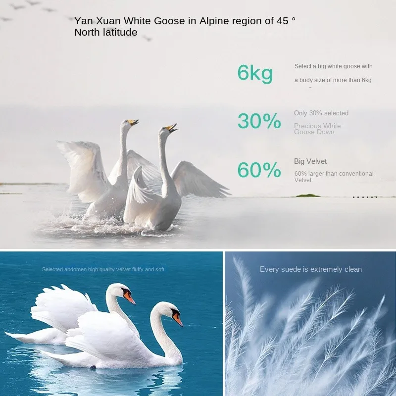 DEODAR Winter Long 90% White Goose Down Coat Casual Section Hooded Warm Puffer Jacket Women Windproof Outerwear for Qffice Lady