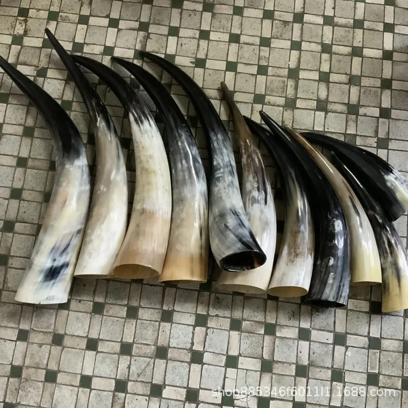 Рог для крупного рогатого скота с изображением черепа яка