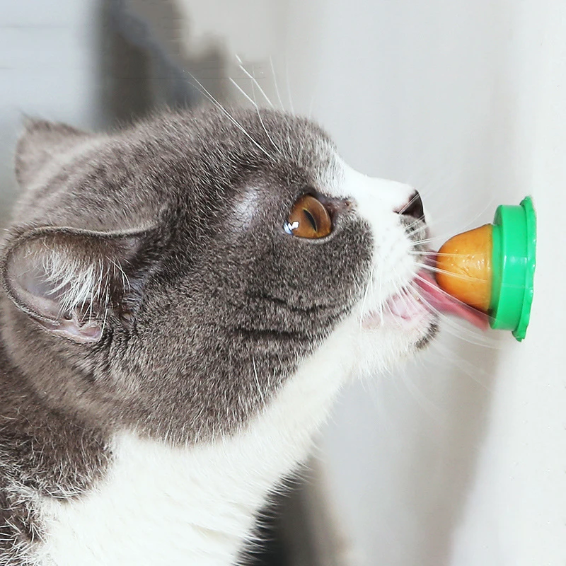 

Nutrition Cat Catnip Ball Dust Cover Round Safe Catnip Snack Lick Candy Vitamin Pudding Catnip Lollipop For Cat Kitten Ragdoll