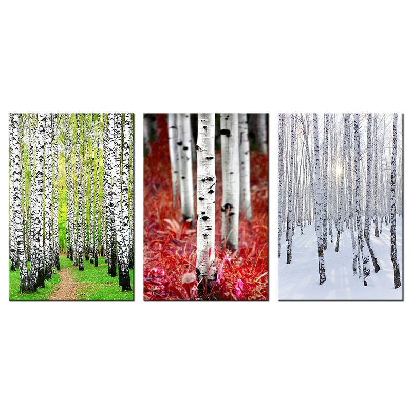 

3 Pieces Birch Forest Wall Art Poster Birch Trees Scenery Print Canvas Art Modern Style Picture Living Room Bedroom Home Decor