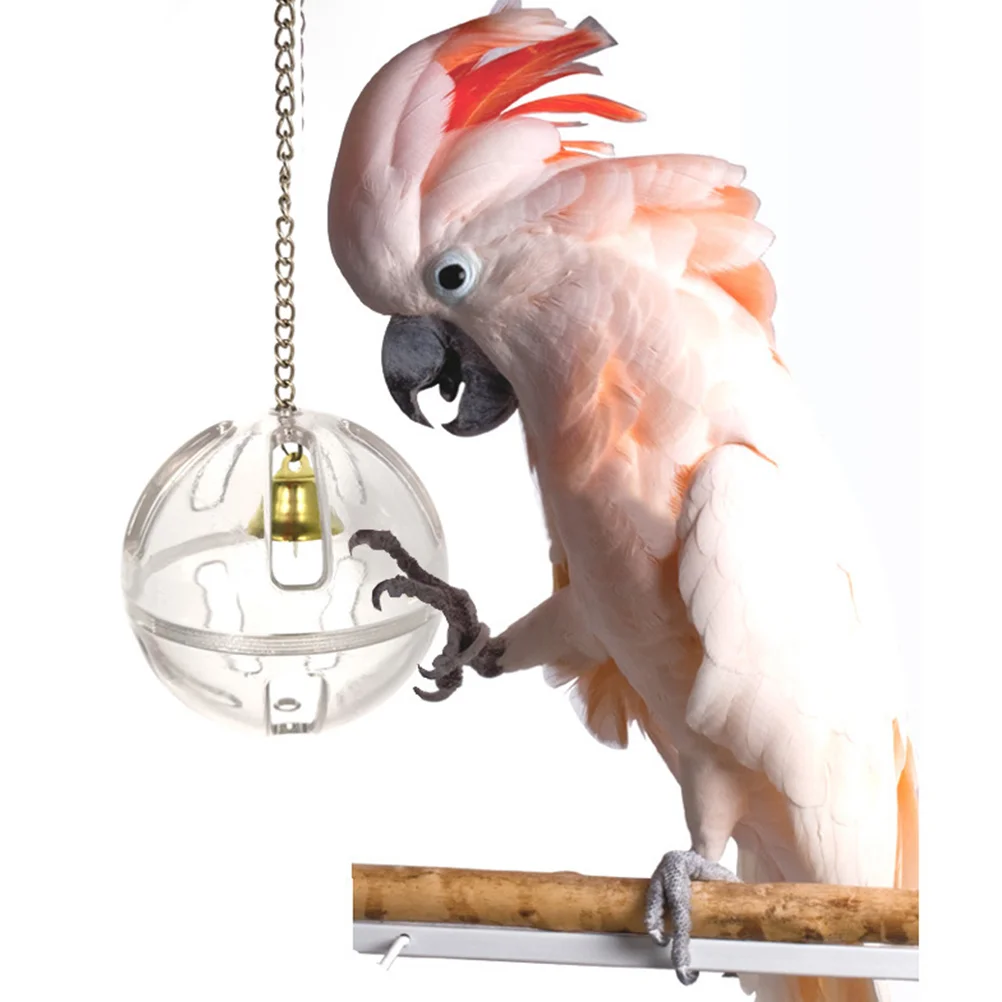 

3 Pcs Hanging Bird Feeder Large Birds Cockatiel Foraging Toys Parrot Feeding Ball Supplies