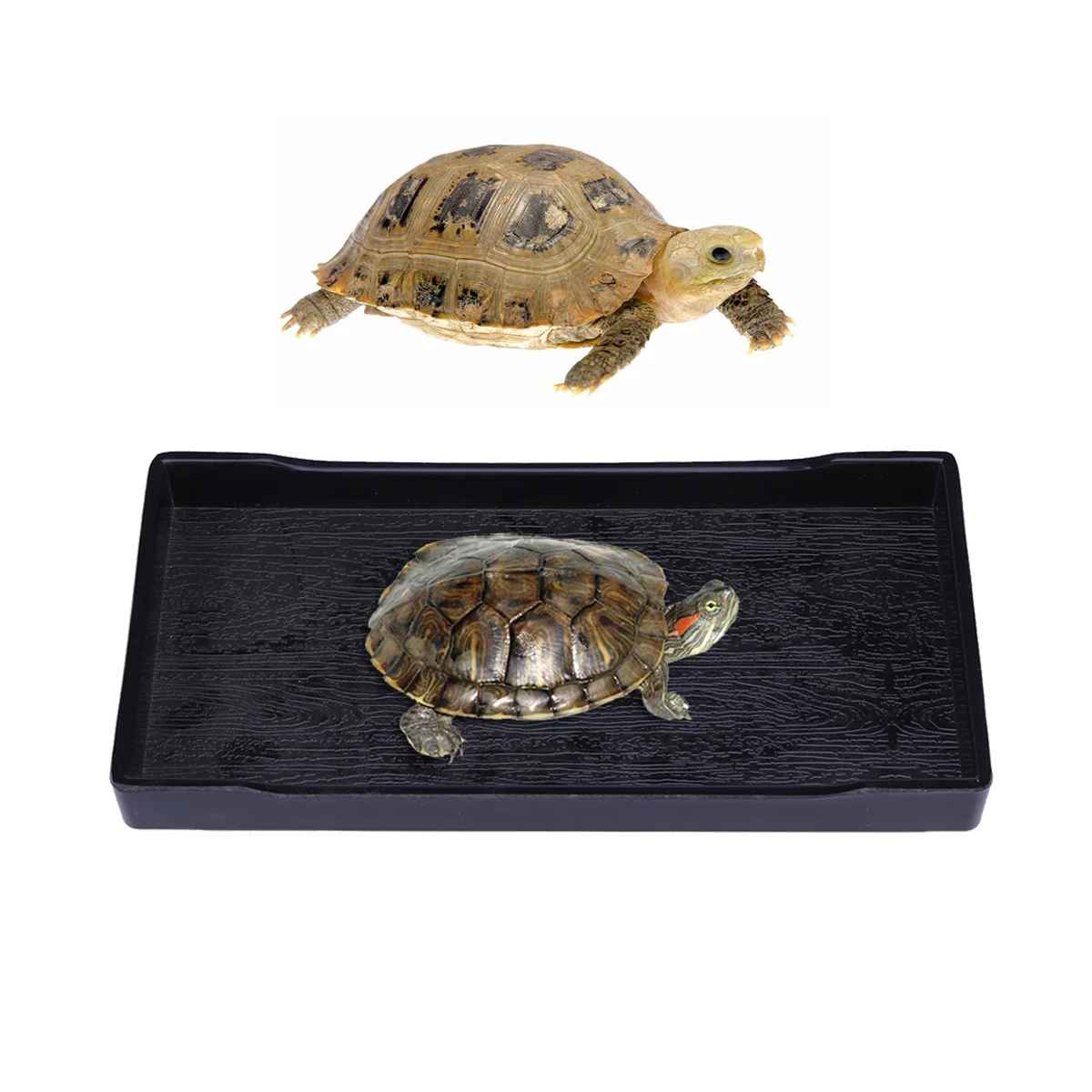 

Reptile Bowl Water Dish Tortoise Turtle Feeding Accessories Basin Bath Drinking Supplies Pet Large Habitat Snake Bearded Dragon