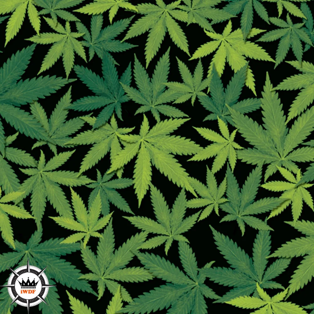 

2M/6M/10M/20M Length Camoflage Hydrographics Film 50cm Width Hydrgraphic Film H380