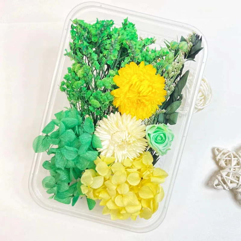 

Handmade DIY Dried Flowers Petals for Making Mobile Phone Case Candle Crafts Epoxy Resin Pendant Necklace Jewelry Boxed Decor