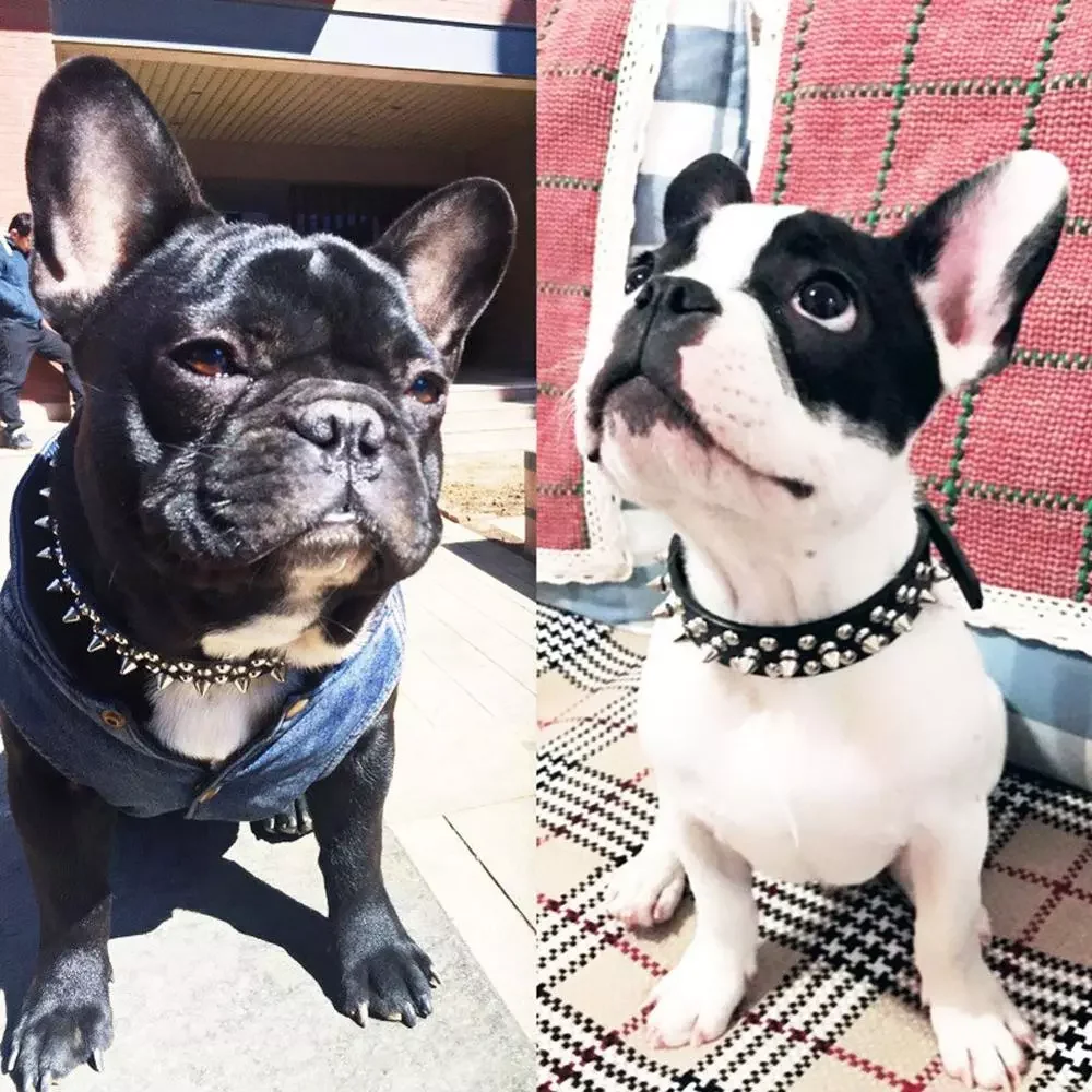 

Brand Funny Pet Pu Leather Collar Dog Rivets Self-Protection Collars Adjustable Spiked Studded Rivets Puppy Small Pet Collar