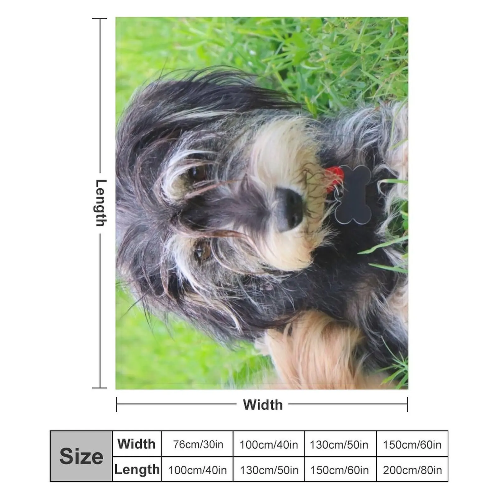 Миниатюрный шнауцер собака Белла Плед Путешествия Пляж Мягкие кровати для