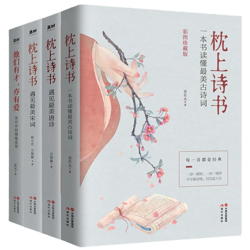 

4PCS/Set Poetry on pillow The Most Classic Chinese Poetry Of The Tang Dynasty Song Poems Book