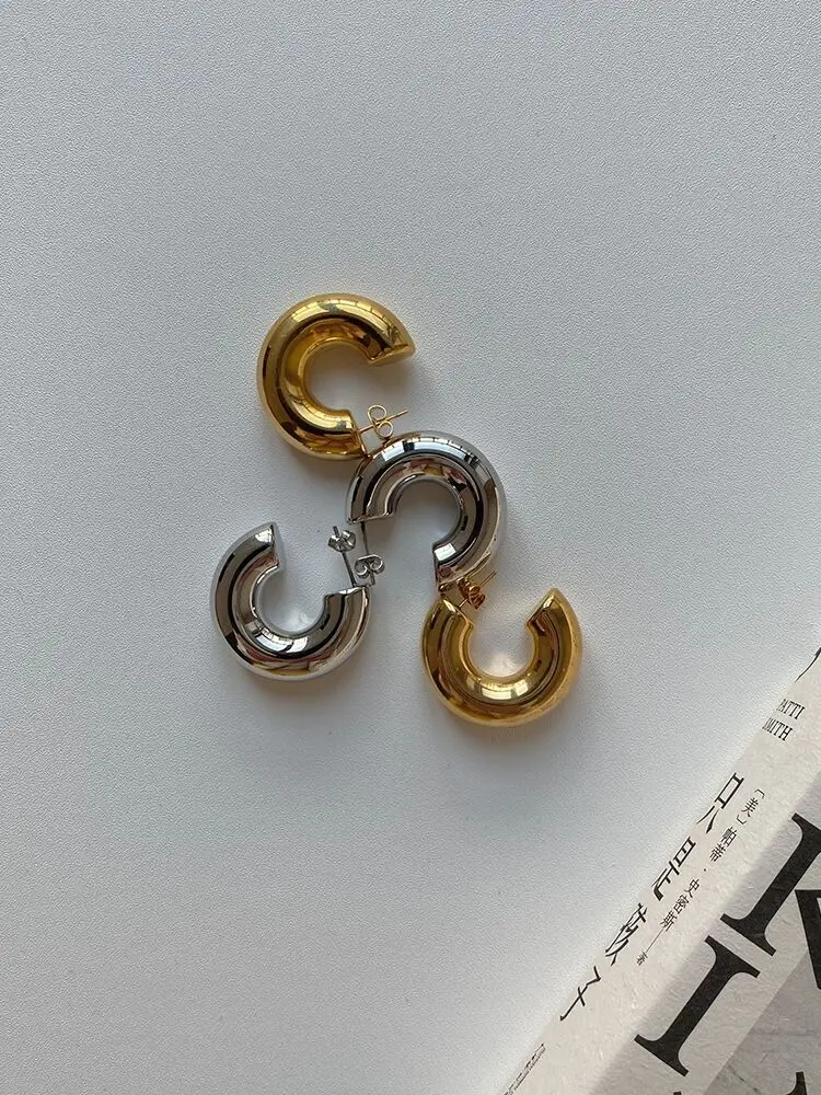 

Titanium Shiny Silple CC Hoop Earrings Women Jewelry Punk Hiphop Designer Runway Rare Simply Gown Boho Top Japan Korean