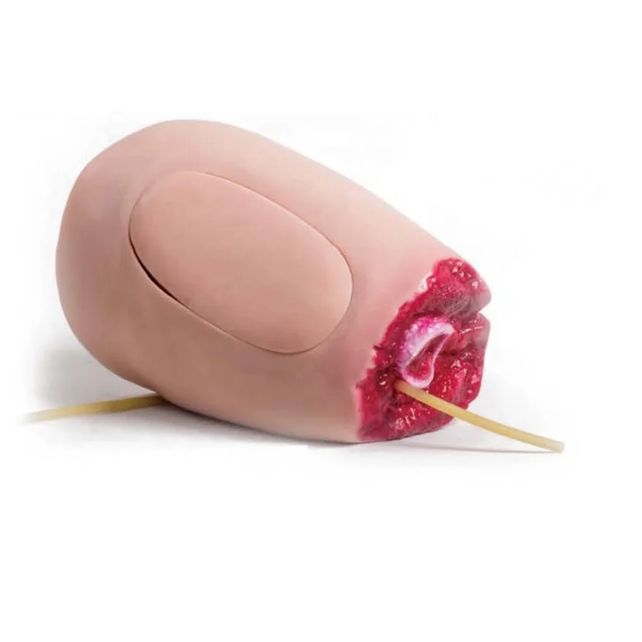 

Thigh Haemorrhage Amputated Training Simulator, Bandaging Teaching Model