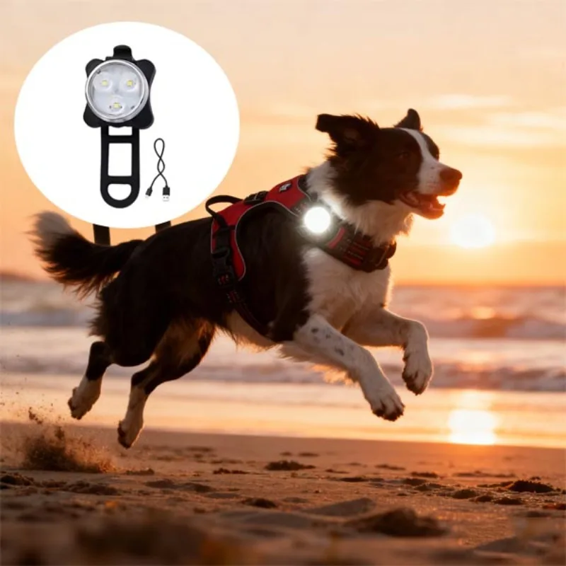 Tragbares Haustier-Sicherheits-LED-Licht, 4 Modi, USB wiederaufladbar, für Nachtspaziergänge im Freien, Anti-Verlust-Hundehalsband, Geschirr, Leine, Zubehör