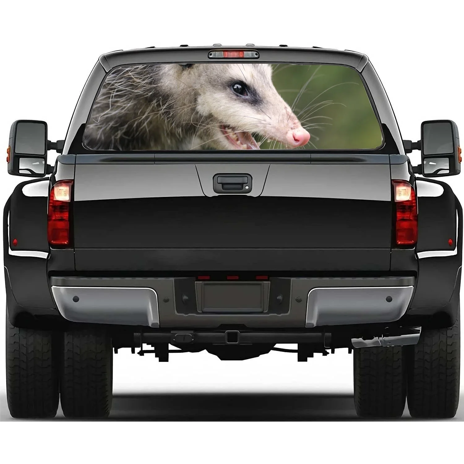 Североамериканская Автомобильная фотография Opossum графический декоративный
