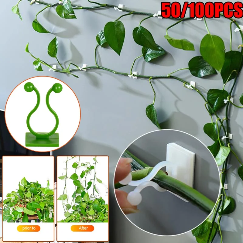 50/100PCS Plant Climbing Wall Clips Invisible Wall Vines Fixture Wall Sticky Hook Plant Supports Vine Fixed Bracket Plant Clips