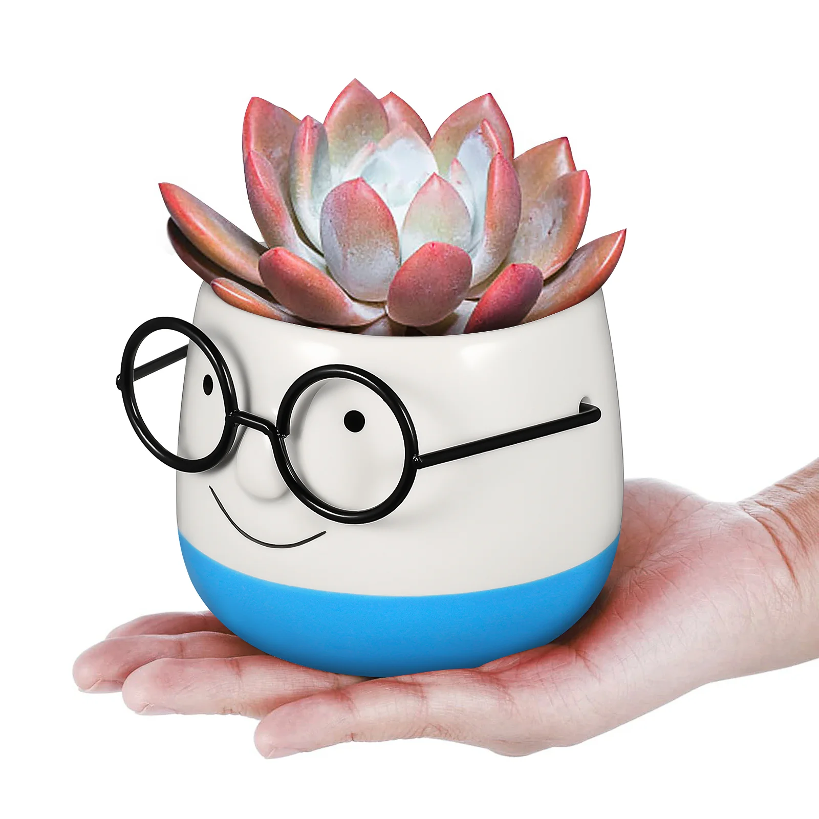 Уникальный цветочный горшок для офиса маленькая кашпо лица с декором в очках