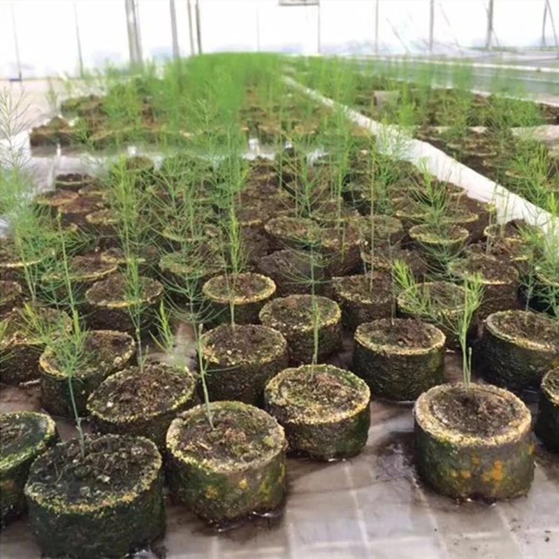 

5pcs 4.5cm Jiffy Peat Pellets Pellets Seedling Soil Block Starting Plugs Seeds Starter Pallet Nutrient Soil Block for Garden