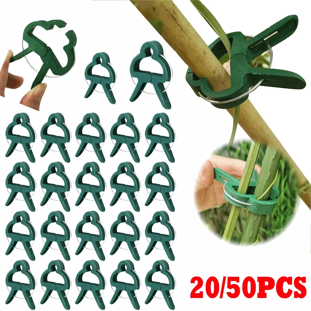 20/50 шт. многоразовые зажимы для садовых стеблей