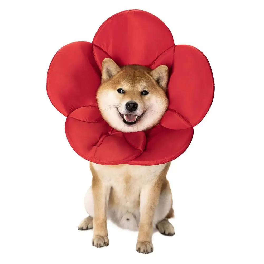 

Useful Protective Comfortable to Wear Durable Cat Cone Collar for After Surgery Dog Cone Collar Pet Recovery Collar